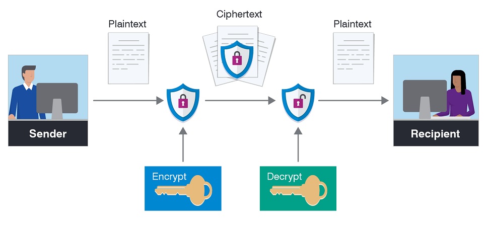 Encryption Lowers Data Breach Impact