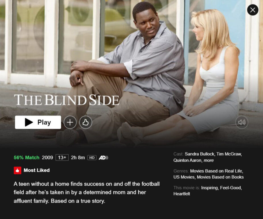 The Blind-Side on Netflix (Sports Movies on Netflix)