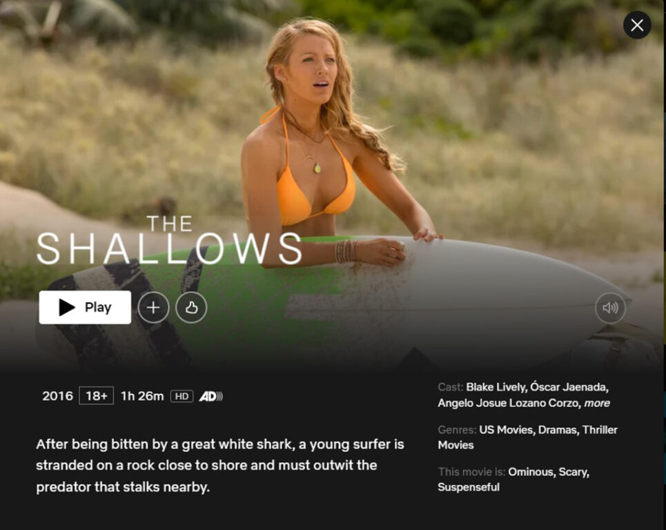 The Shallows on Netflix