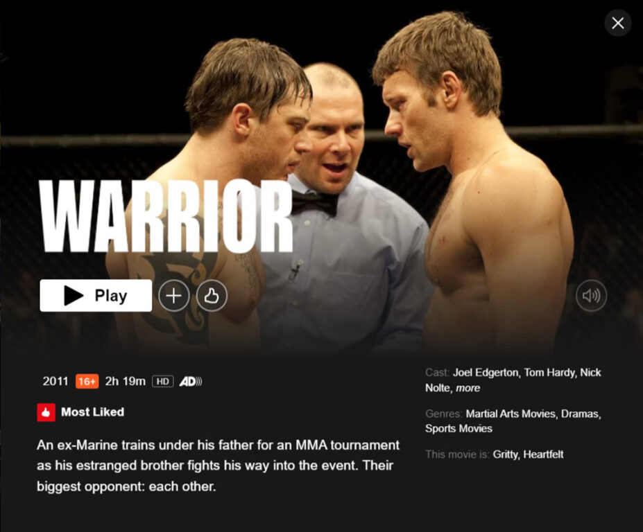 Warrior on Netflix