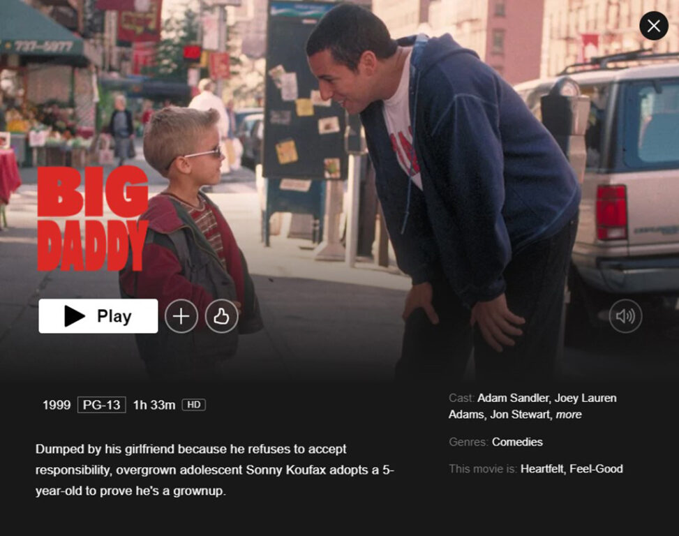 Adam Sandler Movies on Netflix - Big Daddy