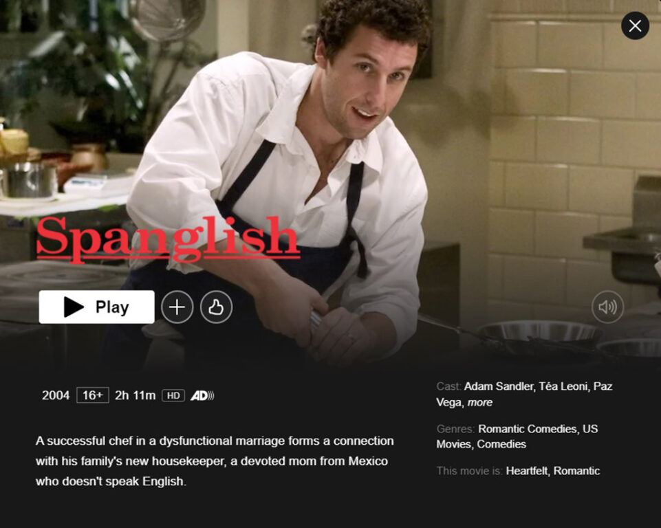 Adam Sandler Movies on Netflix - Spanglish