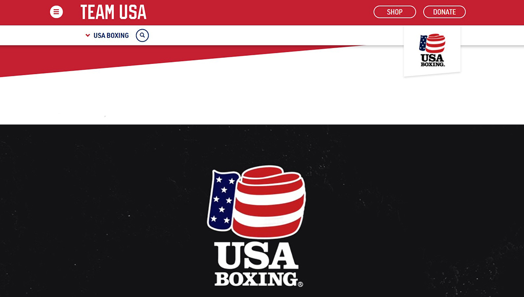 Team USA Boxing