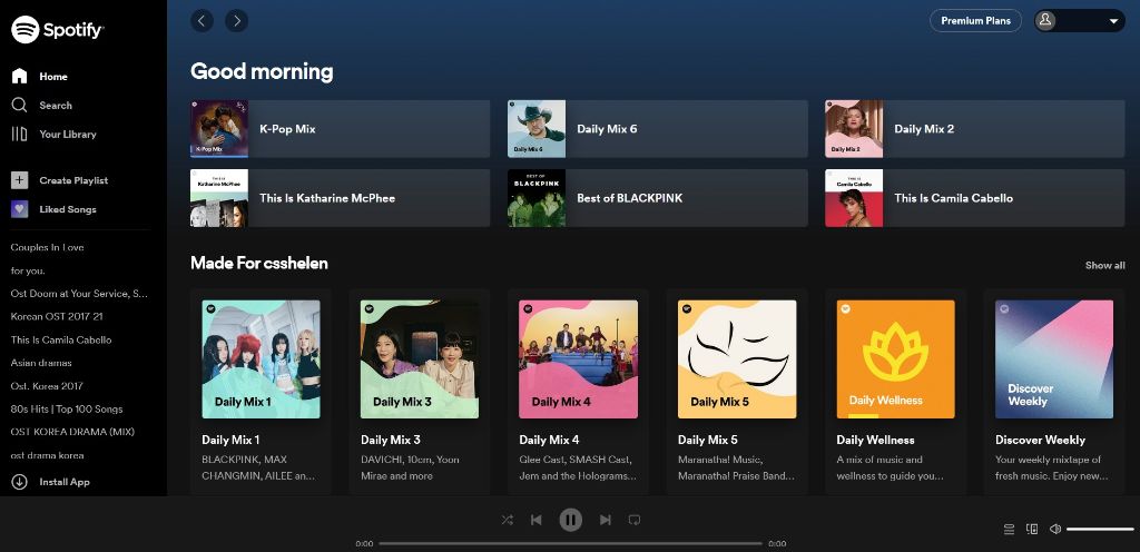 Your Spotify’s main page after login. 