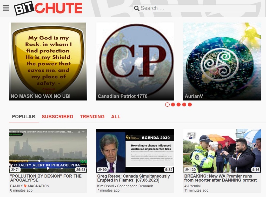 Bitchute is a peer-to-peer platform that hosts a variety of content.